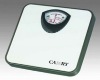 bathroom scales