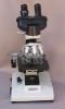 binocular microscope for research