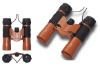 binoculars 10x25