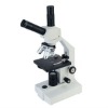 biological anatomy binocular microscope