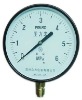 common pressure gauge