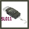 digital hanging scale