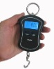 digital hanging scales