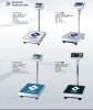 digital platform scale