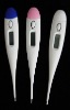 digital thermometer