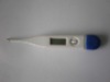 digital thermometer