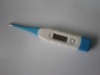 digital thermometer(plastic thermometer)