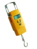 electric hanging scales