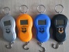 electric luggage scale
