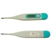 electrical thermometer