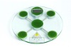 electronic bathroom weighing scale