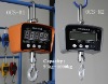 electronic crane scale