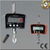 electronic crane scale