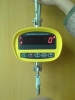 electronic crane scale