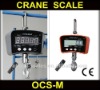 electronic crane scale