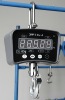 electronic crane scale