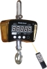 electronic crane scale