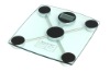 electronic glass body scale