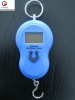 electronic hanging scales