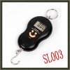 electronic luggage scale