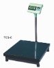 electronic platform scale