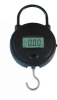 fishing scale