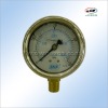 gas test gauge (PG-6018)