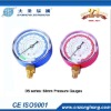 gauge manifolds, DS 2.5" Pressure Gauges