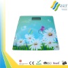 glass bathroom scale