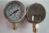 glass,plastic pressure gauge