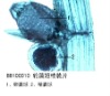 good quality microscope glass slide