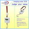 hanging balance JR OCS 25KG*0.1KG