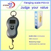 hanging balance JR PES-03 40KG*20G