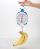 hanging produce scales