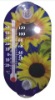 indoor/outdoor thermometer