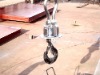 kingtype crane Scale