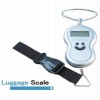 luggage scale