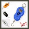 luggage weighing scales