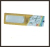 magnifying ruler