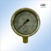 manometer (PG-6023)