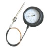 marine pressure type thermometer
