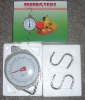 mechanical weighing and hanging scale