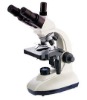 microscope