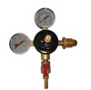 nitrogen regulator (N2-11A)