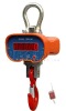 overhead crane scale