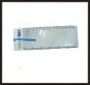 plastic ruler with magnifier