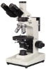 polarization microscope
