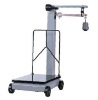 portable utility scales
