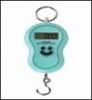 portable weight