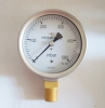 pressure gauge